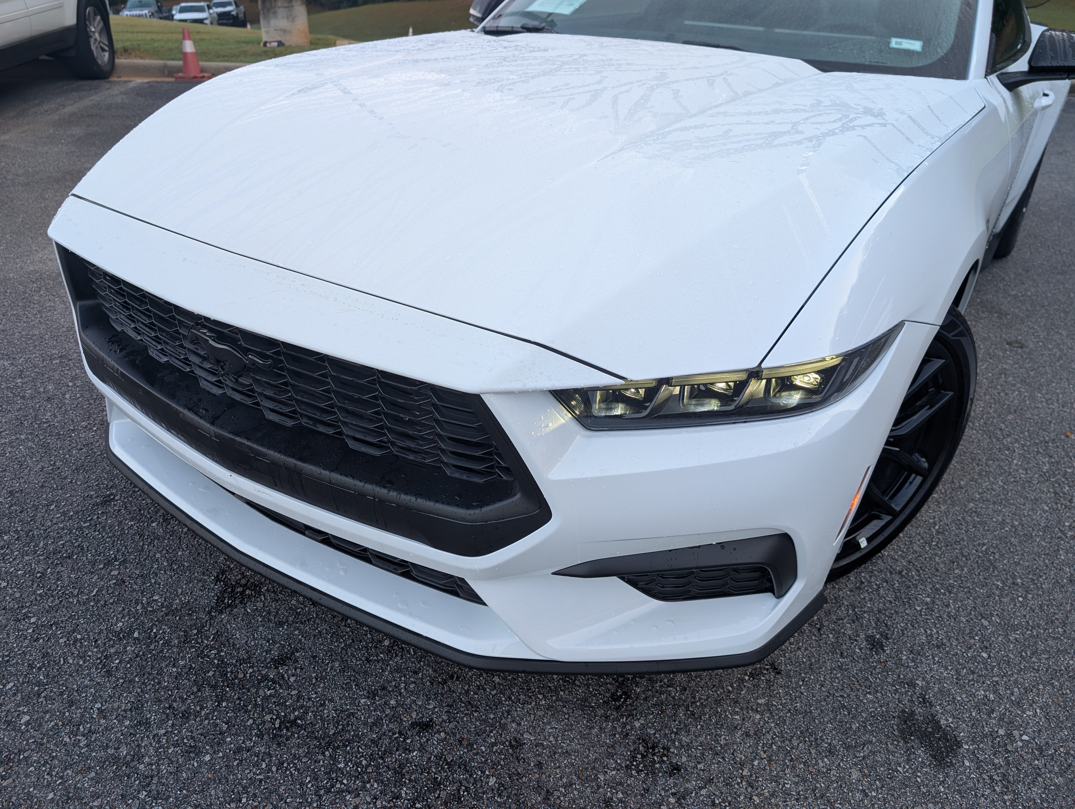 Used 2026 Ford Mustang Premium RWD image 13