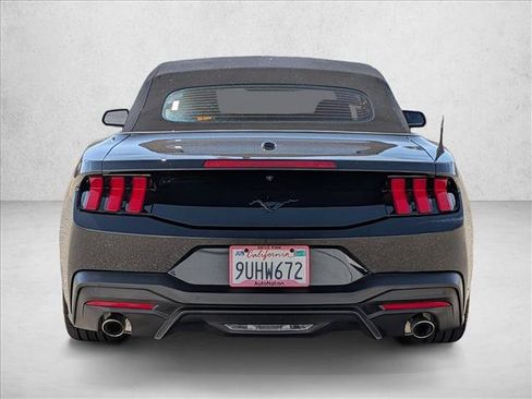Used 2025 Ford Mustang Convertible w/ Mustang Nite Pony Package RWD image 7