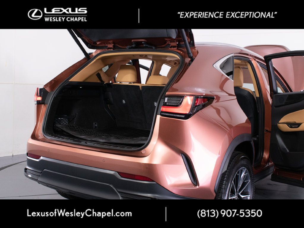 Used 2025 Lexus NX 250 FWD w/ Accessory Package (2T) image 12