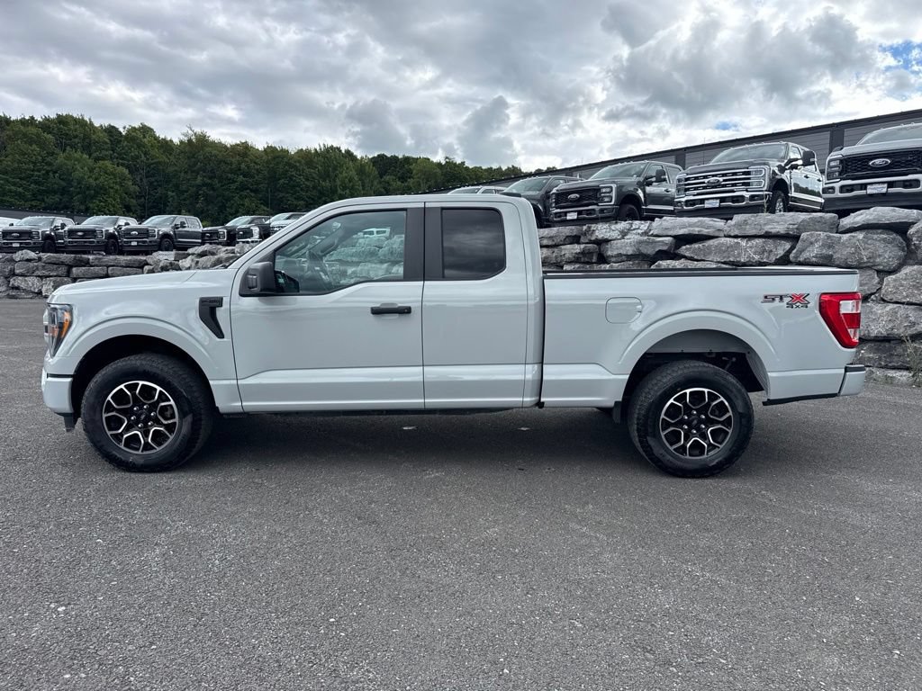 Used 2023 Ford F150 XL w/ STX Appearance Package AWD/4WD image 2