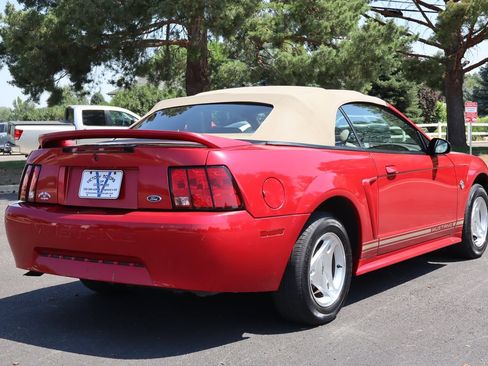 Used 1999 Ford Mustang Convertible RWD image 5