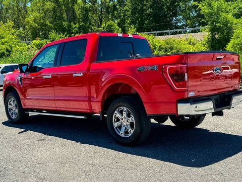 Used 2023 Ford F150 XLT w/ Equipment Group 302A High AWD/4WD image 5