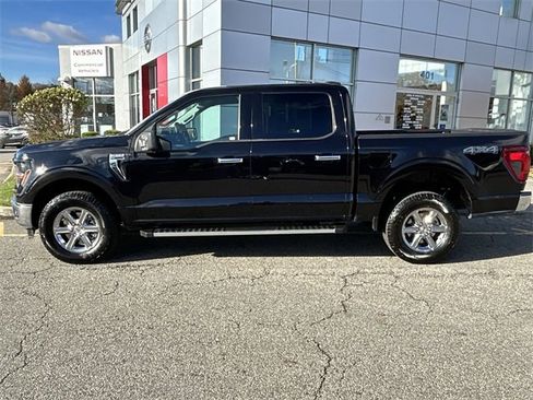 Used 2025 Ford F150 XLT w/ Equipment Group 301A Standard image 5