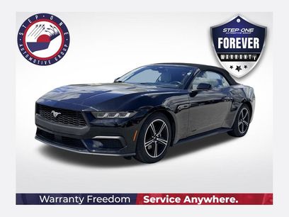 Used 2024 Ford Mustang Premium