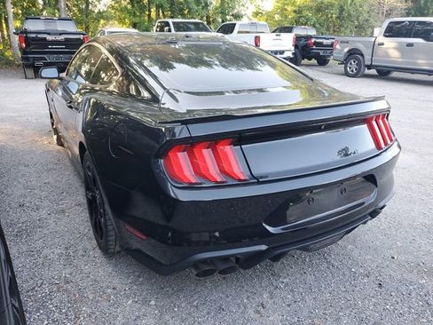 Used 2019 Ford Mustang GT Premium w/ Equipment Group 401A image 3