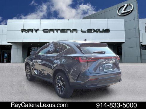 Used 2024 Lexus NX 350 AWD w/ Cold Area Package image 6