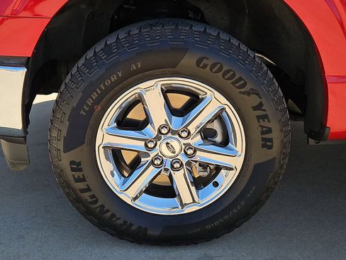Used 2025 Ford F150 XLT w/ Equipment Group 301A Standard AWD/4WD image 5