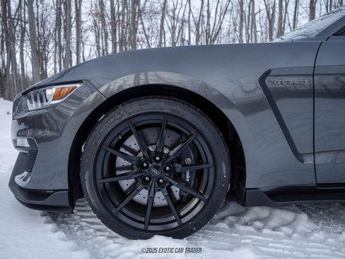 Used 2015 Ford Mustang Shelby GT350 RWD image 4