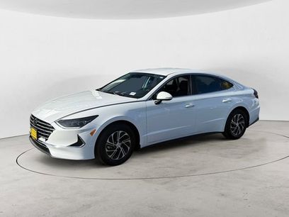 Certified 2023 Hyundai Sonata Blue w/ Cargo Package