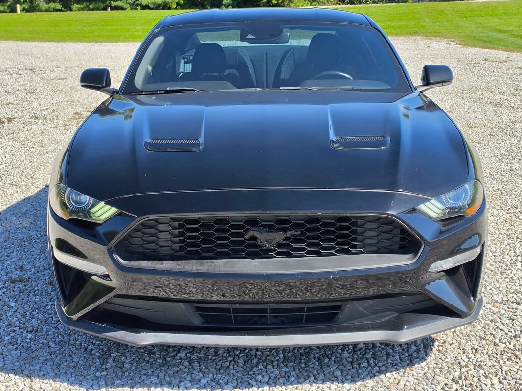 Used 2019 Ford Mustang Coupe w/ Ford Safe & Smart Package RWD image 3