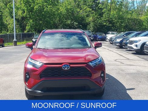 Used 2024 Toyota RAV4 XLE Premium w/ Weather Package AWD/4WD image 2