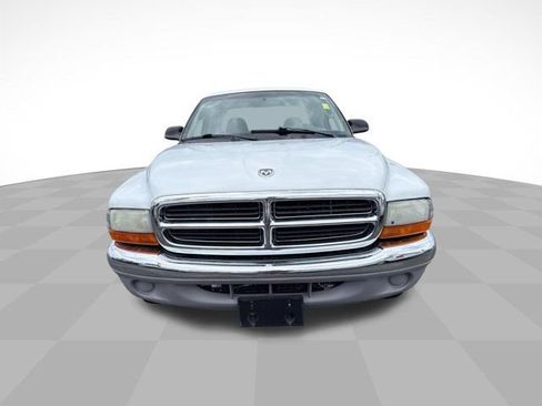 Used 2003 Dodge Dakota SLT RWD image 3