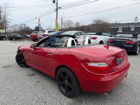 Used 2013 Mercedes-Benz SLK 250 w/ Premium I Pkg image 8