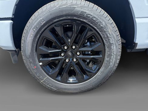 New 2025 Ford F150 XLT w/ Equipment Group 302A MID image 9