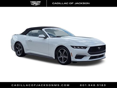 Used 2024 Ford Mustang Premium RWD image 3