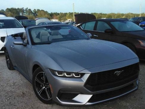 Used 2024 Ford Mustang Premium image 1