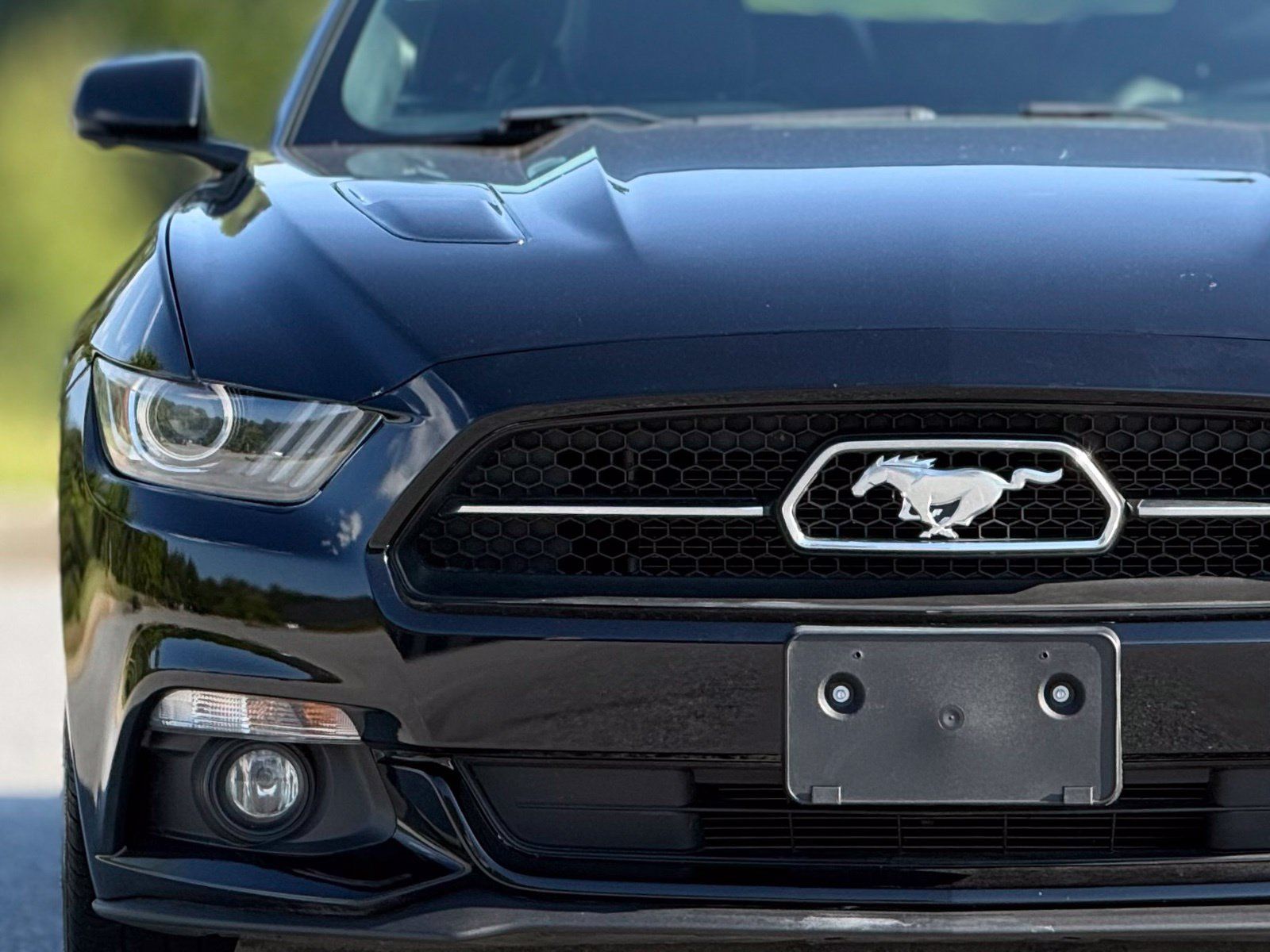 Used 2015 Ford Mustang GT Premium w/ Equipment Group 401A RWD image 14
