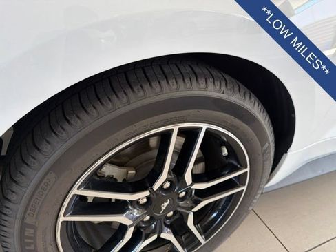 Used 2019 Ford Mustang GT Premium RWD image 8