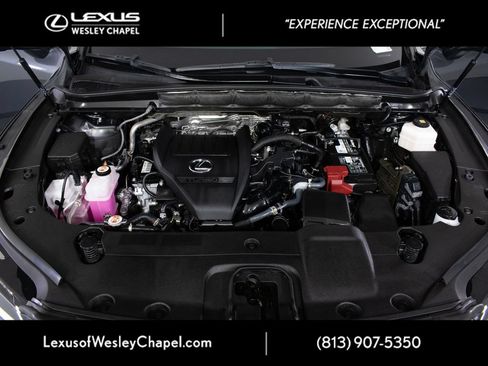 Used 2024 Lexus RX 350 Premium Plus w/ Convenience Package FWD image 10