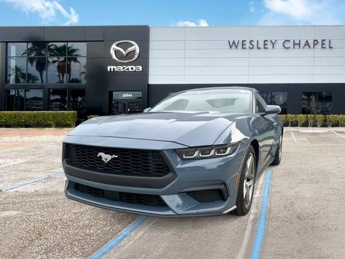 Used 2024 Ford Mustang Premium RWD image 1
