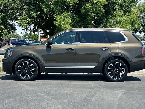 Used 2023 Kia Telluride SX Prestige AWD/4WD image 5