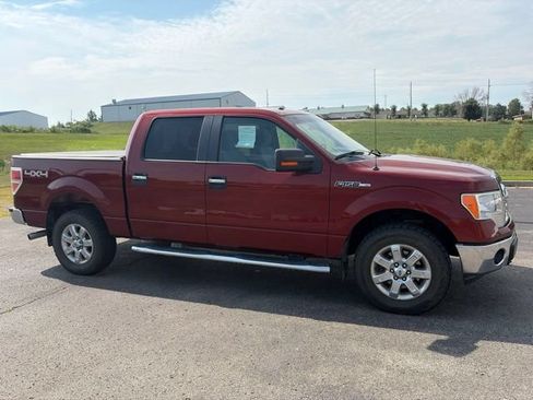 Used 2014 Ford F150 XLT w/ Equipment Group 302A Luxury AWD/4WD image 3