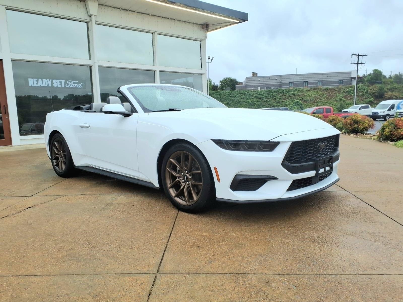 Used 2025 Ford Mustang Premium RWD image 1