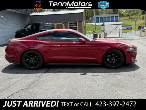 Used 2019 Ford Mustang Coupe w/ Black Accent Package image 4