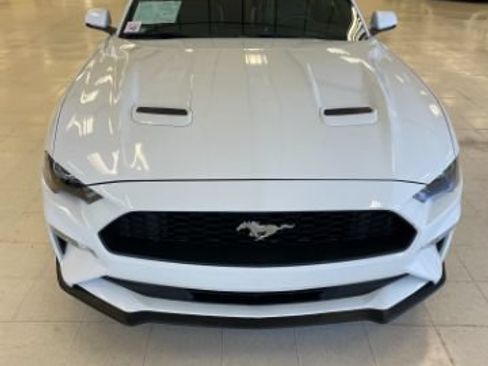 Used 2018 Ford Mustang Premium w/ Equipment Group 201A RWD image 2