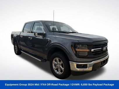 Used 2025 Ford F150 XLT w/ Equipment Group 302A MID