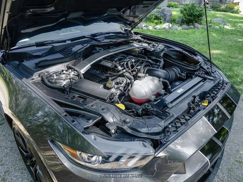 Used 2015 Ford Mustang Shelby GT350 RWD image 15