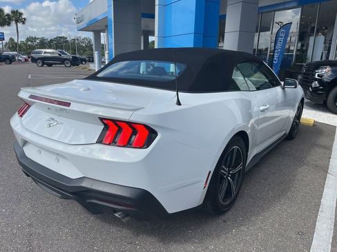 Used 2025 Ford Mustang Premium RWD image 3