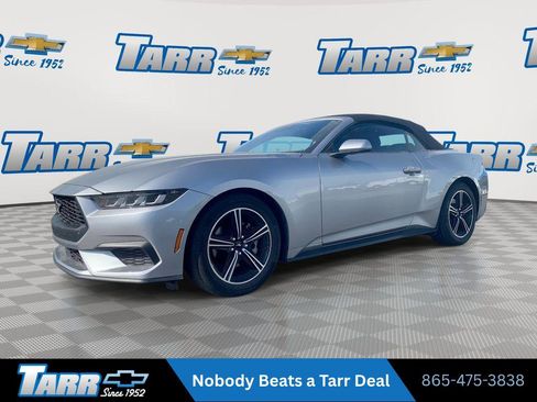 Used 2025 Ford Mustang Premium RWD image 1