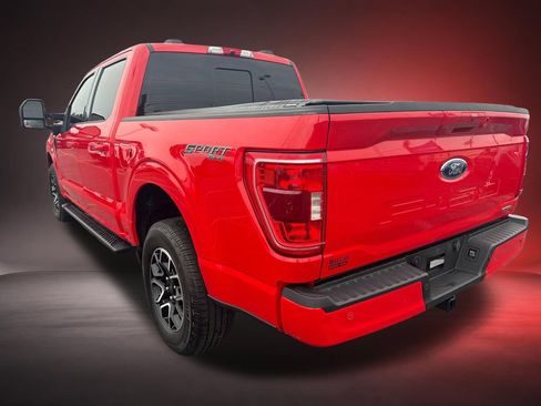 Used 2023 Ford F150 XLT w/ Equipment Group 302A High AWD/4WD image 6
