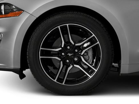 Used 2018 Ford Mustang Premium w/ Equipment Group 201A RWD image 5