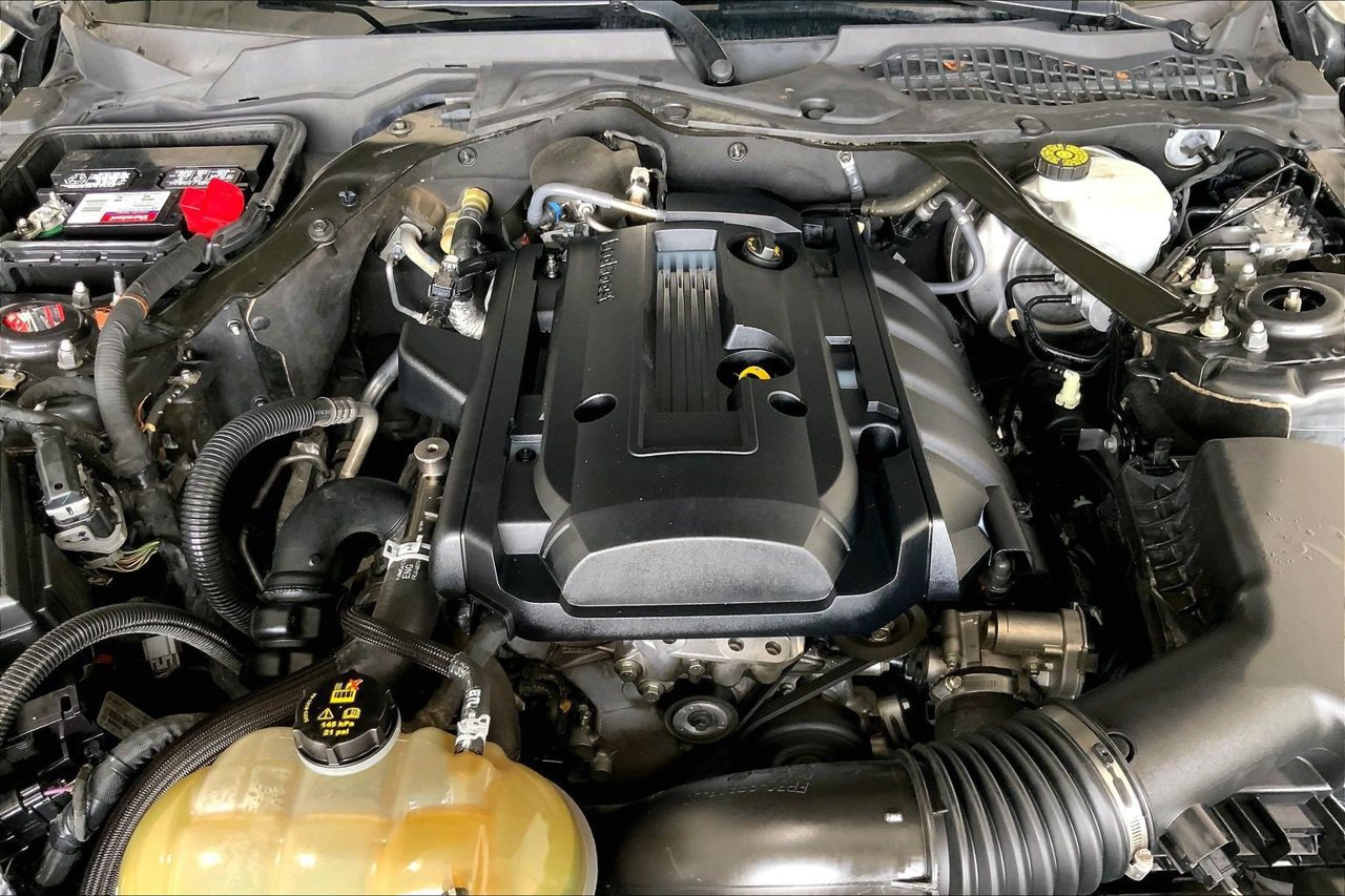 Used 2019 Ford Mustang Premium RWD image 8