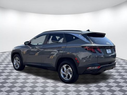 Used 2024 Kia Sportage X-Line w/ X-Line Premium Package AWD/4WD image 5