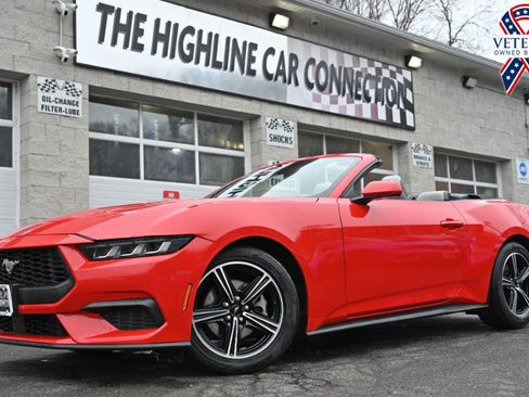 Used 2024 Ford Mustang Premium image 1