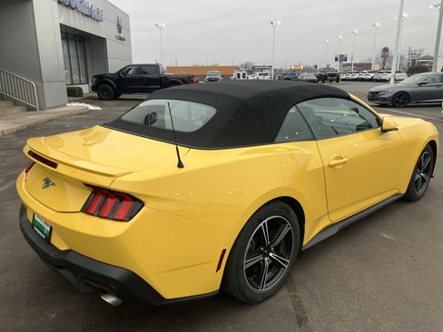 Used 2024 Ford Mustang Premium image 7