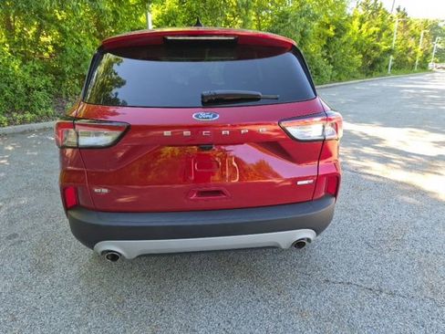Used 2025 Ford Escape ST-Line Select AWD/4WD image 6