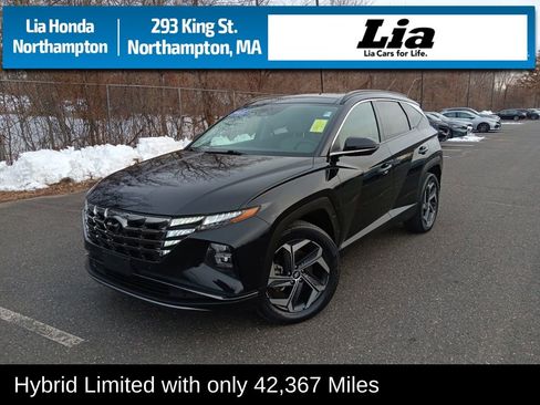 Used 2022 Hyundai Tucson Limited image 1