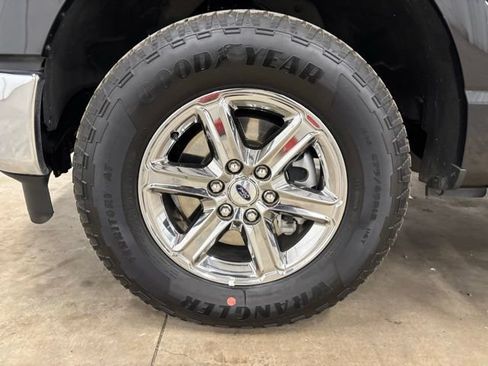 Used 2025 Ford F150 XLT w/ Equipment Group 301A Standard AWD/4WD image 9