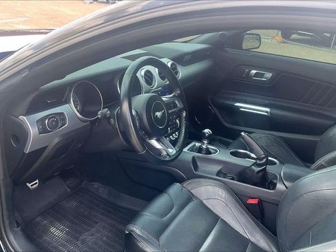 Used 2023 Ford Mustang GT Premium w/ Mustang Nite Pony Package RWD image 2