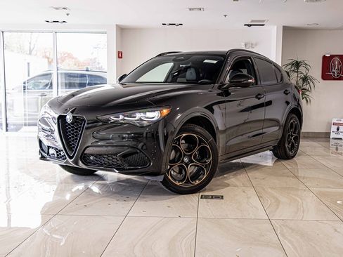 New 2025 Alfa Romeo Stelvio Sprint image 1