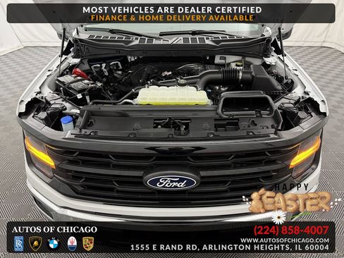 Used 2025 Ford F150 XLT w/ Equipment Group 301A Standard image 36