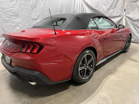 Used 2024 Ford Mustang Convertible image 6