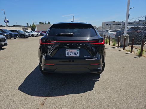Used 2025 Lexus NX 250 FWD w/ Cold Area Package image 4