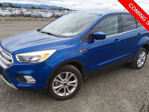 Used 2019 Ford Escape SE AWD/4WD image 1