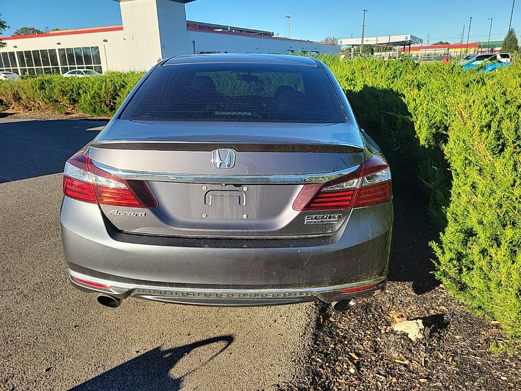 Used 2017 Honda Accord Sport Special Edition image 5