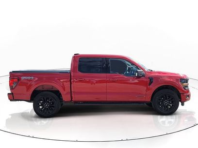 Used 2025 Ford F150 XLT w/ Equipment Group 303A High
